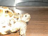 DSCN0799