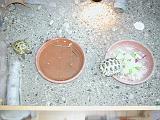 DSCN0827