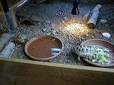 DSCN0830