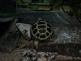DSCN0869