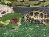 DSCN0871