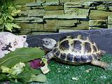 DSCN0875