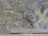 DSCN1053_2