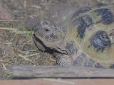 DSCN1054_2