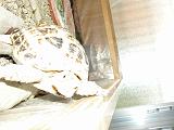 DSCN1057