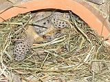 DSCN1155