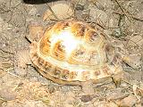 DSCN1168