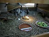 DSCN1185