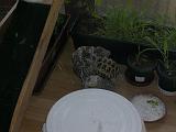 DSCN1534