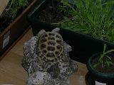 DSCN1536