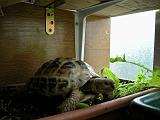 DSCN1556