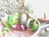 DSCN2152