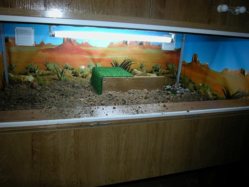 DSCN0708.JPG