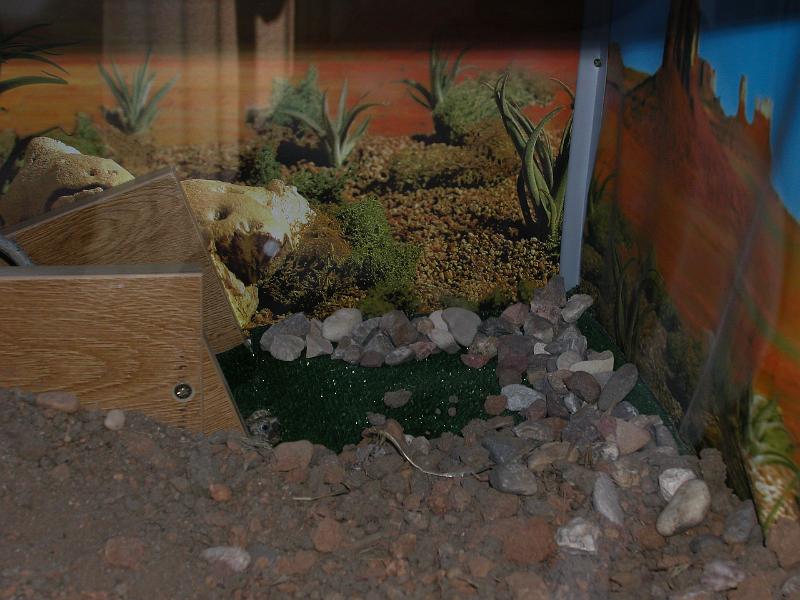 DSCN0725.JPG