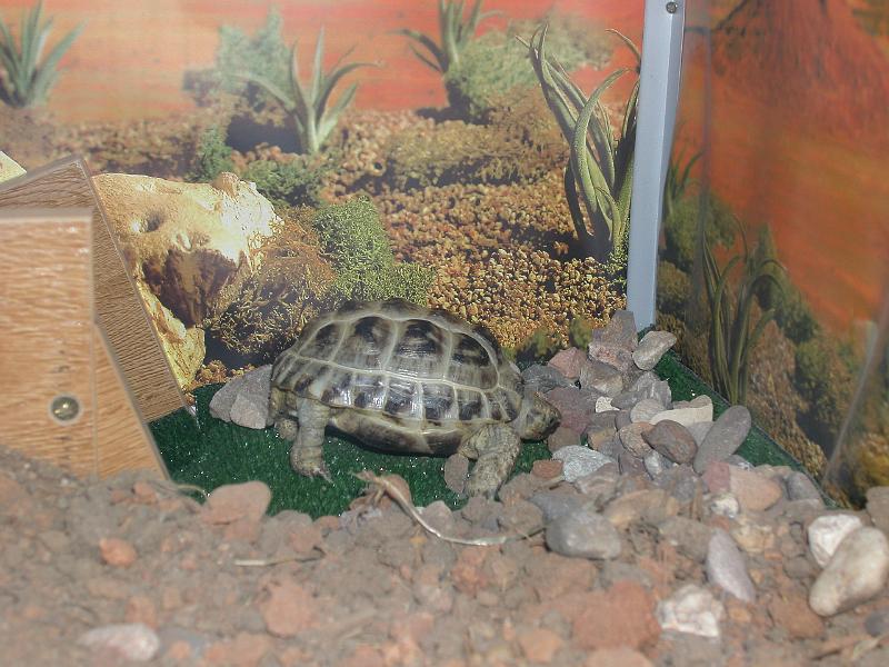 DSCN0727.JPG