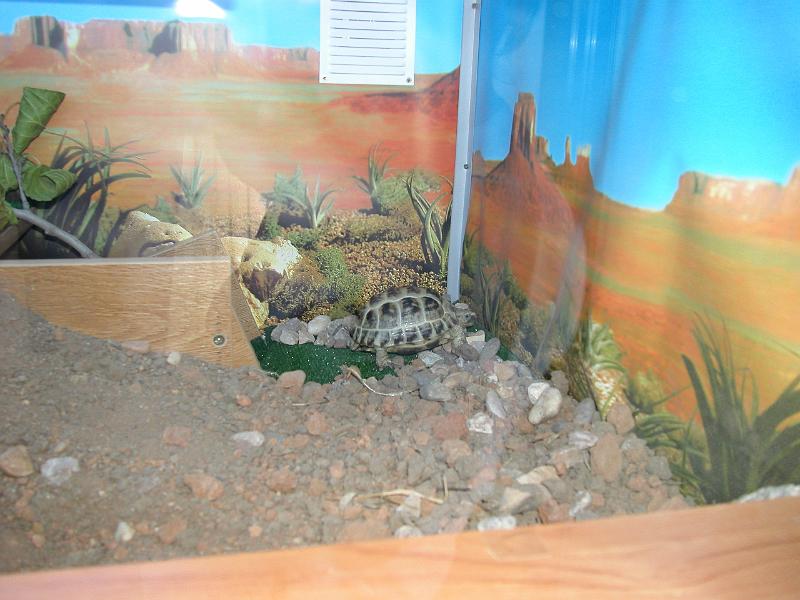 DSCN0728.JPG