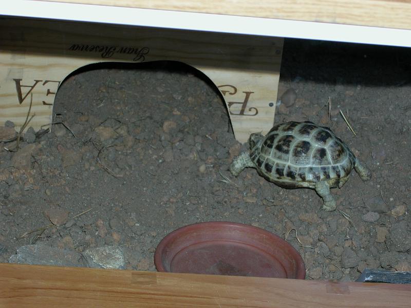 DSCN0735.JPG