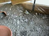 DSCN0714