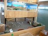 DSCN0739