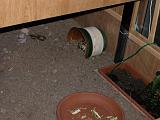 DSCN0741