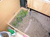 DSCN0924