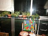 DSCN0961